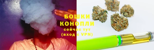 ПСИЛОЦИБИНОВЫЕ ГРИБЫ Абдулино